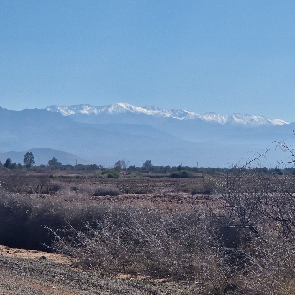 Km 25 Route de Fès - Terrain titré – Libre constructeur - Prêt à bâtir